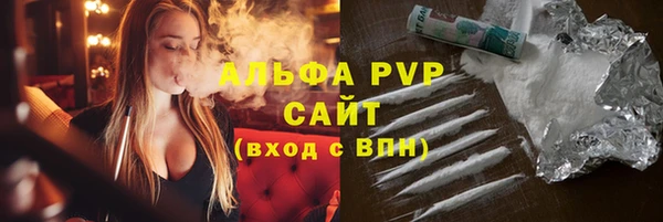 ПСИЛОЦИБИНОВЫЕ ГРИБЫ Вяземский