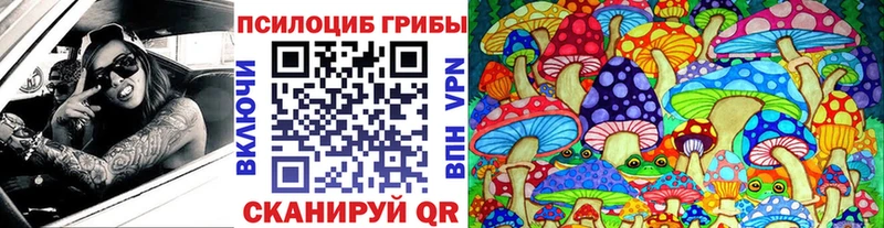 Псилоцибиновые грибы Cubensis Ковров