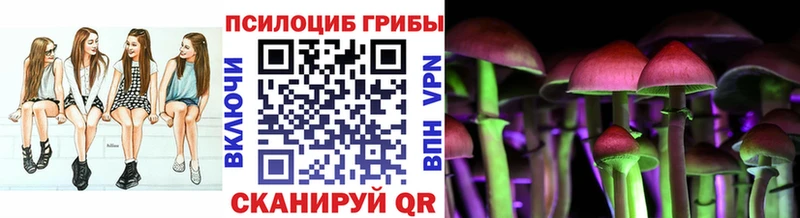 OMG ONION  закладки  Ковров  Галлюциногенные грибы мухоморы 